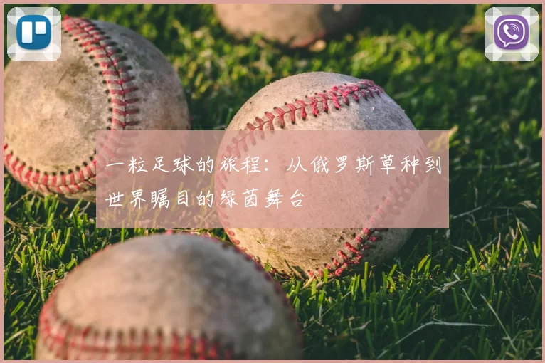 一粒足球的旅程:从俄罗斯草种到世界瞩目的绿茵舞台