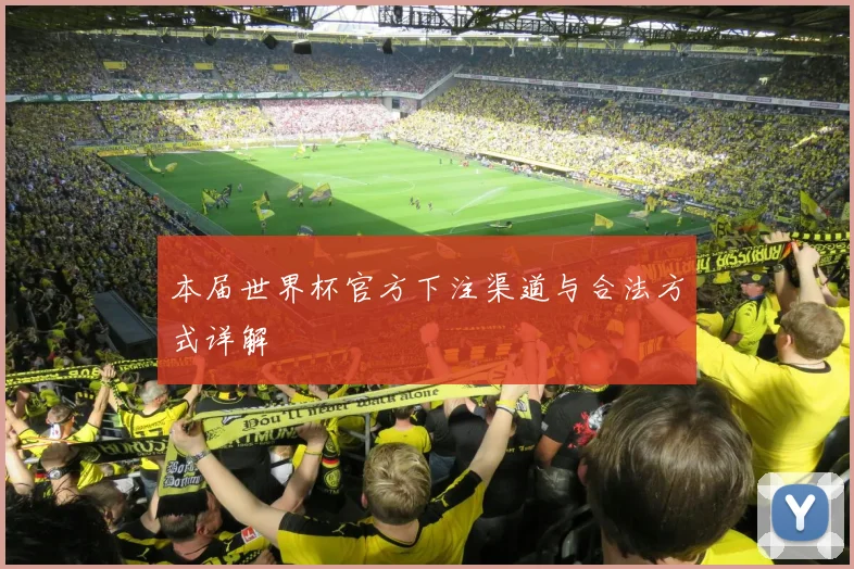 本届世界杯官方下注渠道与合法方式详解