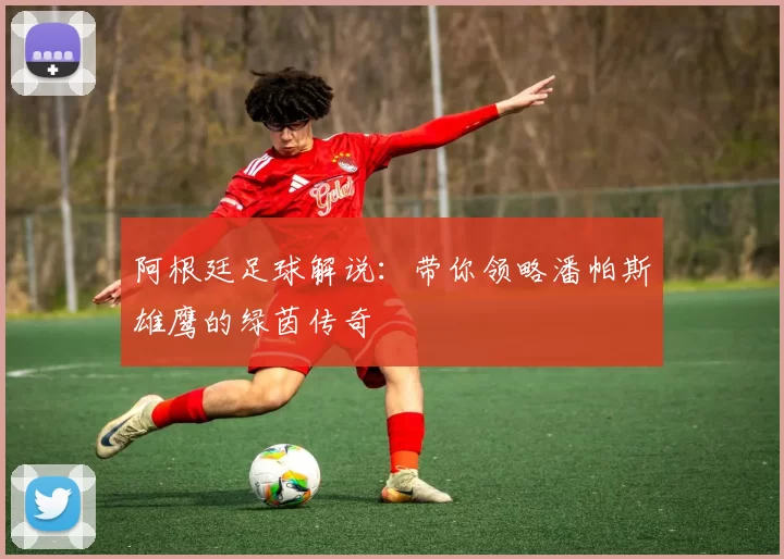 阿根廷足球解说:带你领略潘帕斯雄鹰的绿茵传奇