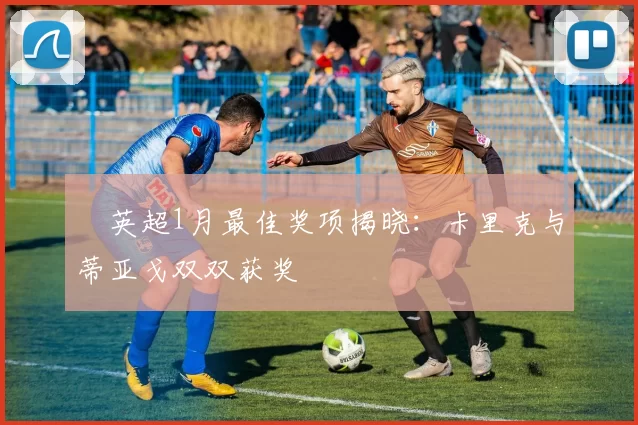 ​英超1月最佳奖项揭晓：卡里克与蒂亚戈双双获奖