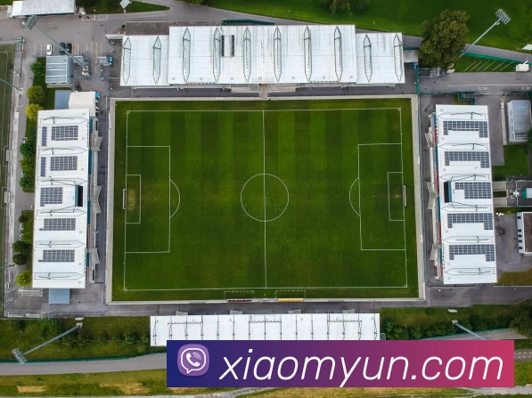 开云(中国)Kaiyun·官方网站 - 登录入口平台生态图